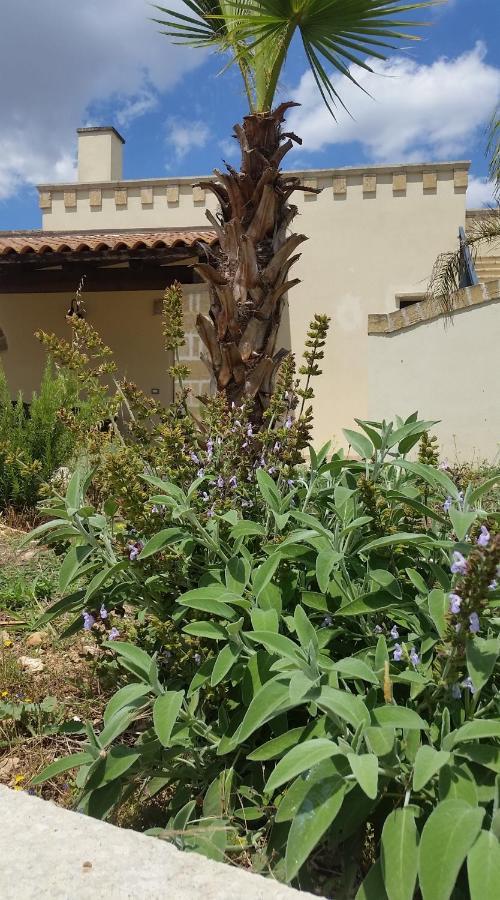 La Palma Vacanze Sogliano Cavour 外观 照片