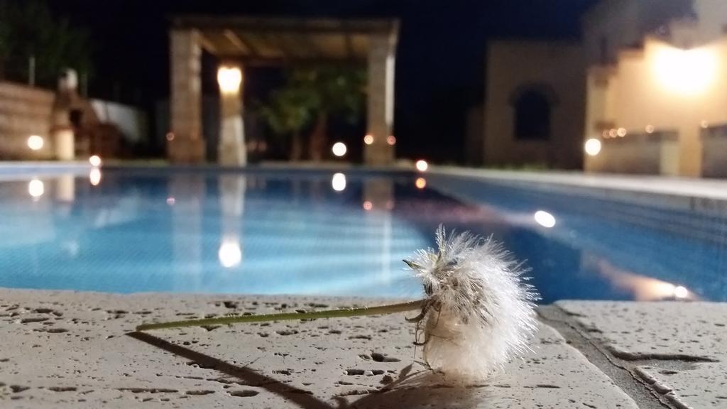 La Palma Vacanze Sogliano Cavour 外观 照片
